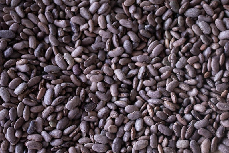 Rancho Gordo Rebosero Beans - 1 lb.