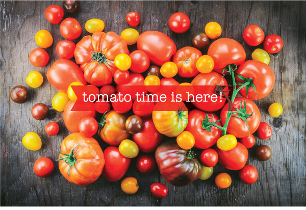 Tomato Time is Here