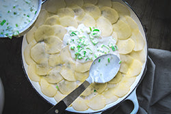 Classic Potato and Leek Gratin
