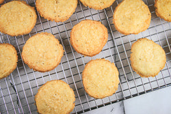 Savory Parmesan Shortbread