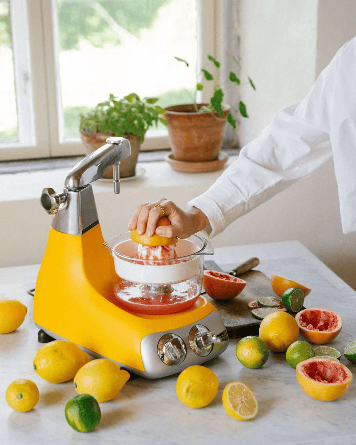 Electrical Appliances Ankarsrum GO GREEN Bundle Package - Citrus Press, Blender with Tamper, & Vegetable Cutter
