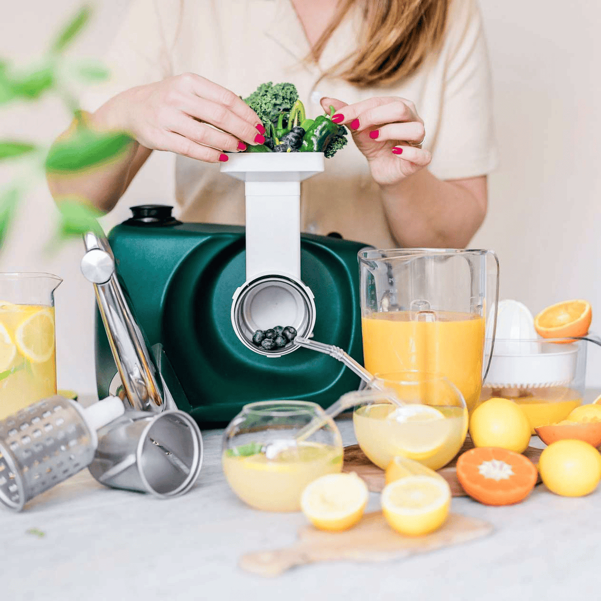 Electrical Appliances Ankarsrum GO GREEN Bundle Package - Citrus Press, Blender with Tamper, & Vegetable Cutter