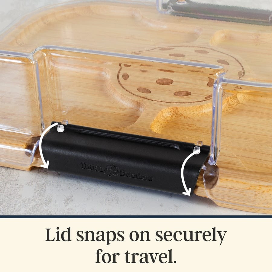 Travel & Storage Flip, Serve & Store Charcuterie Board with Locking Lid - Pickleball Paddle