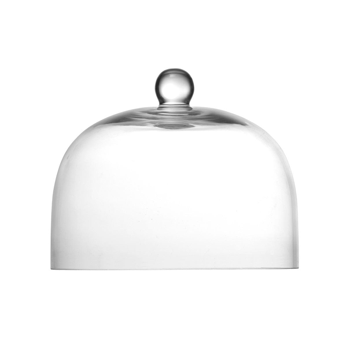 Tabletop Fortessa Glass Dome   