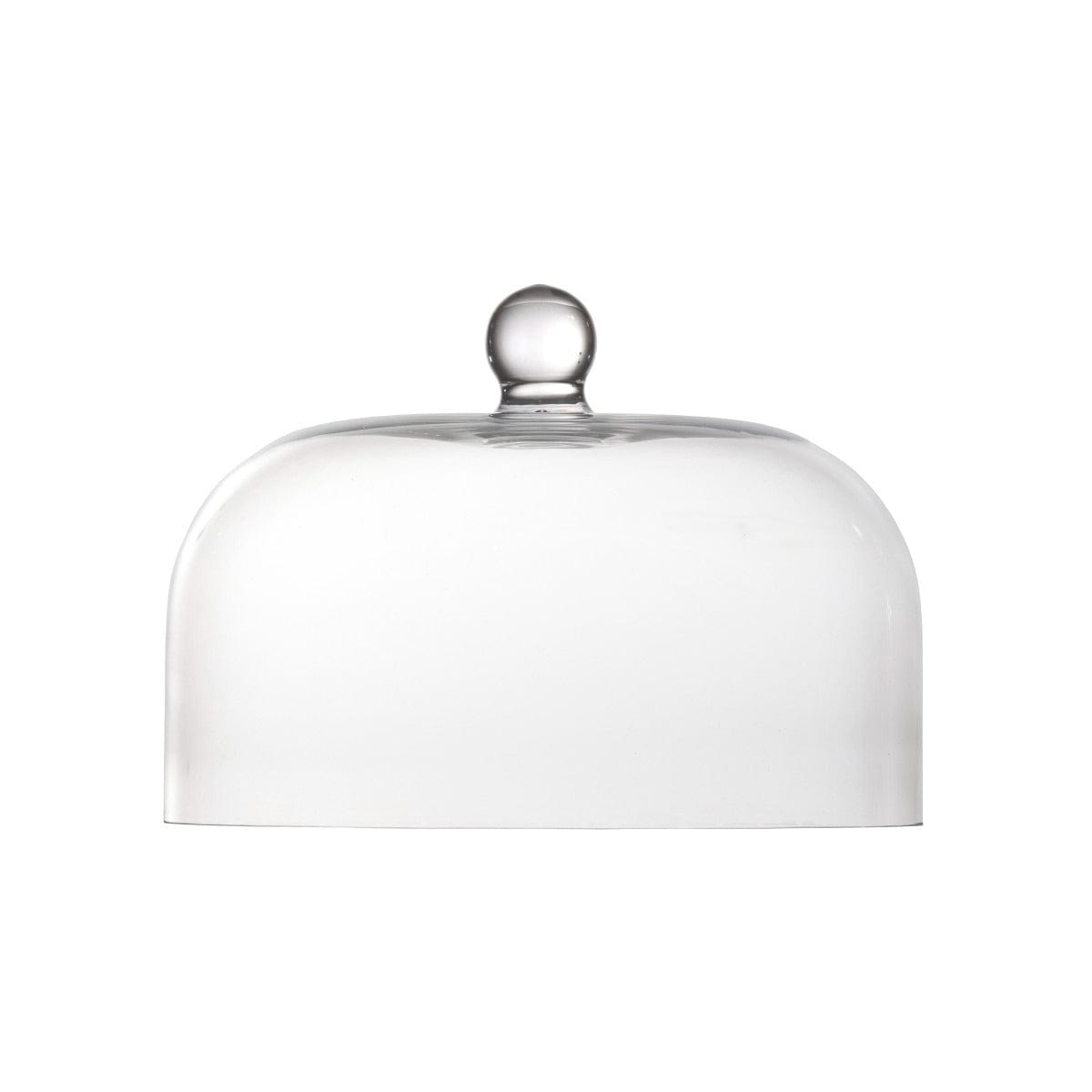 Tabletop Fortessa Glass Dome   
