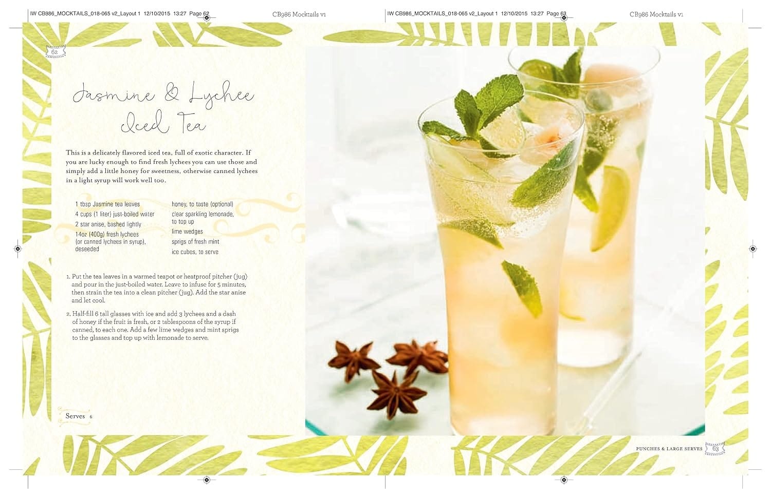 Books Mocktails, Cordials, Infusions, Syrups, and More