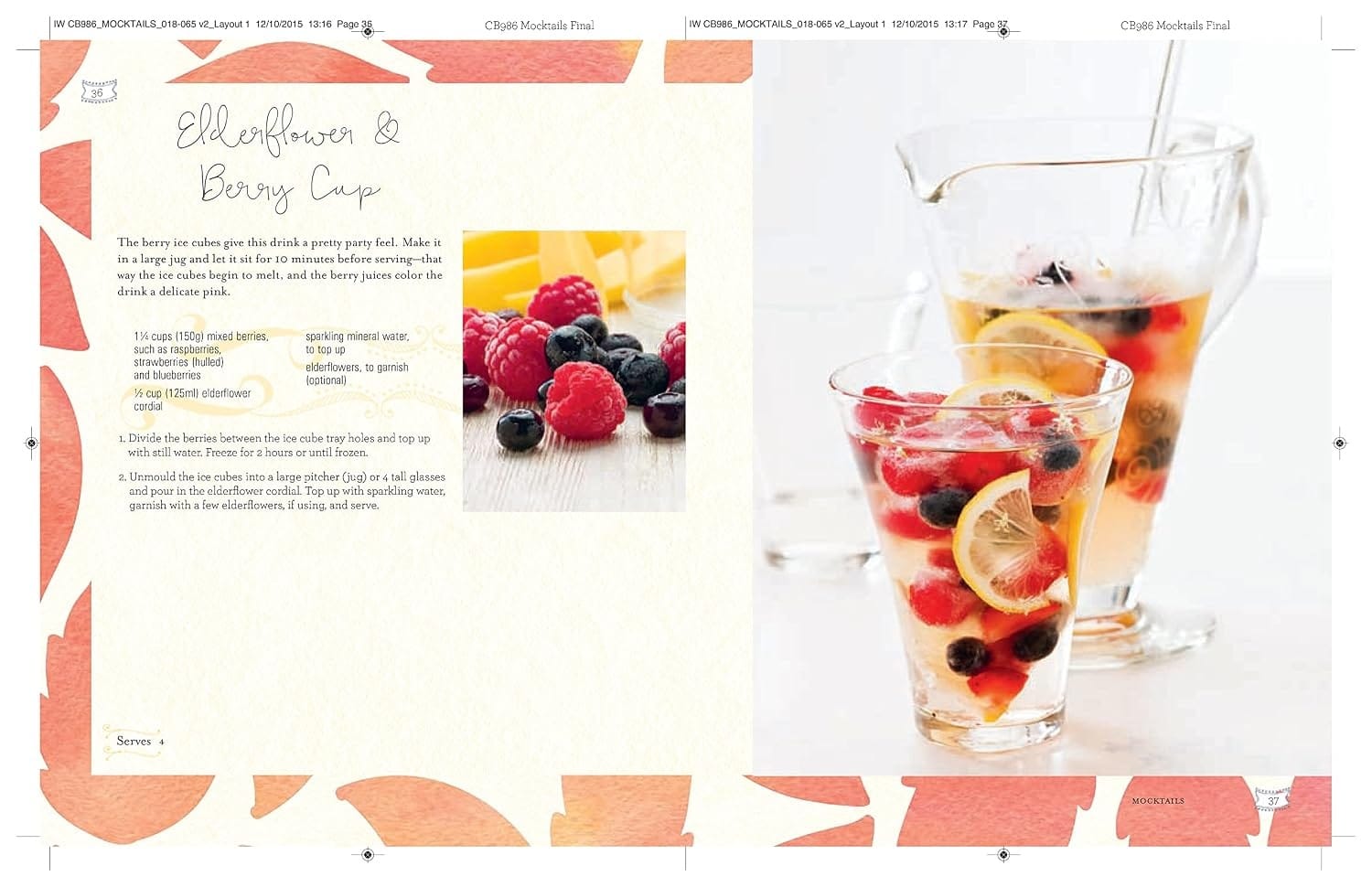 Books Mocktails, Cordials, Infusions, Syrups, and More