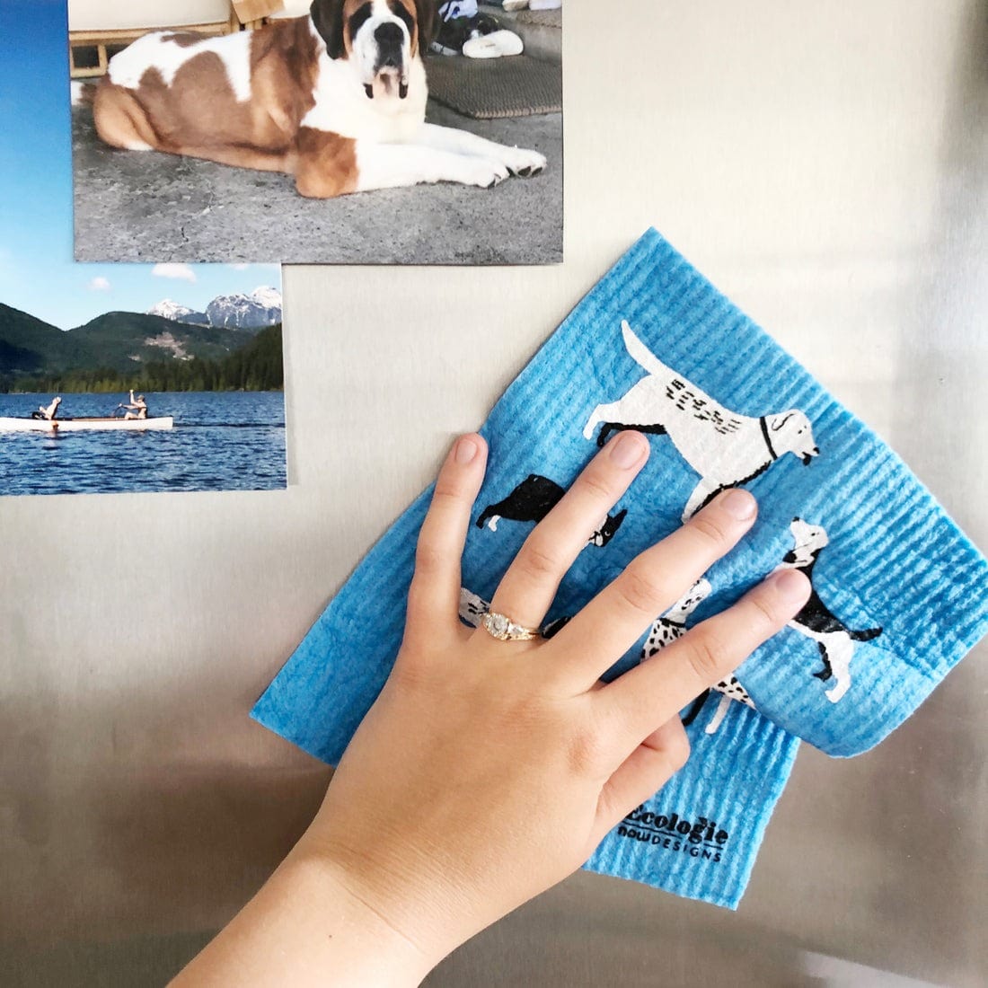 Cleaning & Floormats Now Designs - Ecologie Dog Days Swedish Sponge Cloth