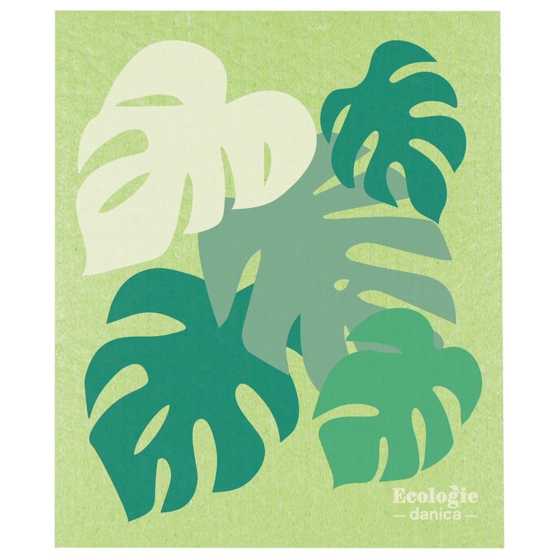 Cleaning & Floormats Now Designs - Ecologie Monstera Swedish Sponge Cloth