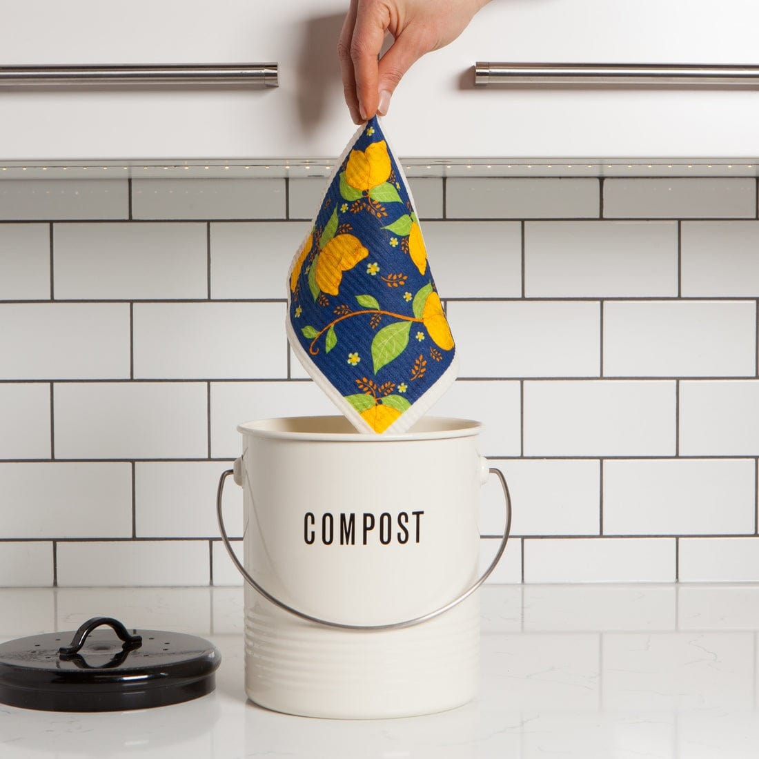 Now Designs Ecologie Sponge Cloth