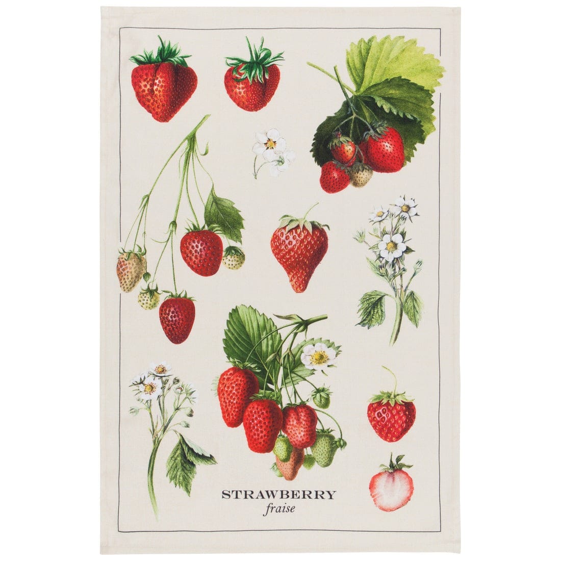 Linen Now Designs - Vintage Strawberries Cotton Dishtowel