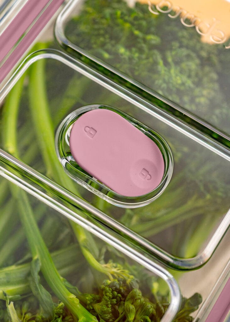 Travel & Storage Prepara - Latchlok Cick Food Storage Container - Multiple Colors & Sizes