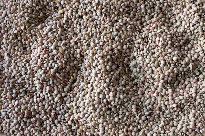 Food Rancho Gordo Puglia Lentils - 1 lb.