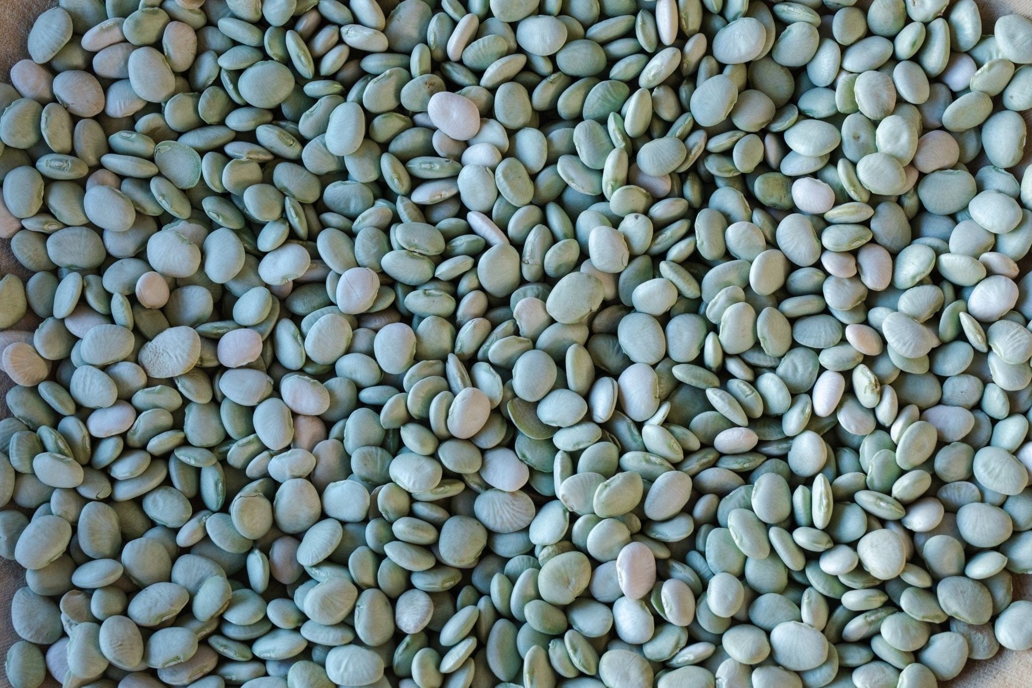 Food Rancho Gordo Green Baby Lima Beans