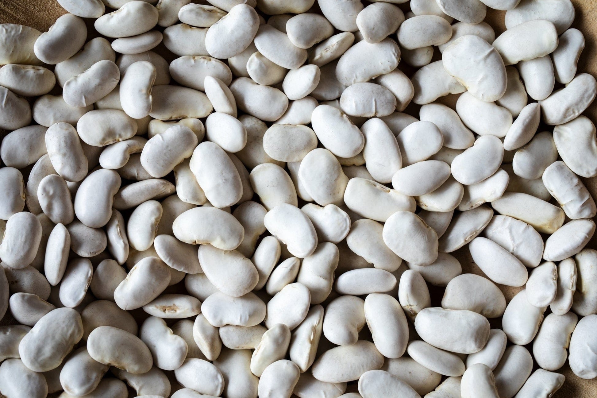 Food Rancho Gordo California Corona Beans, 1lb.