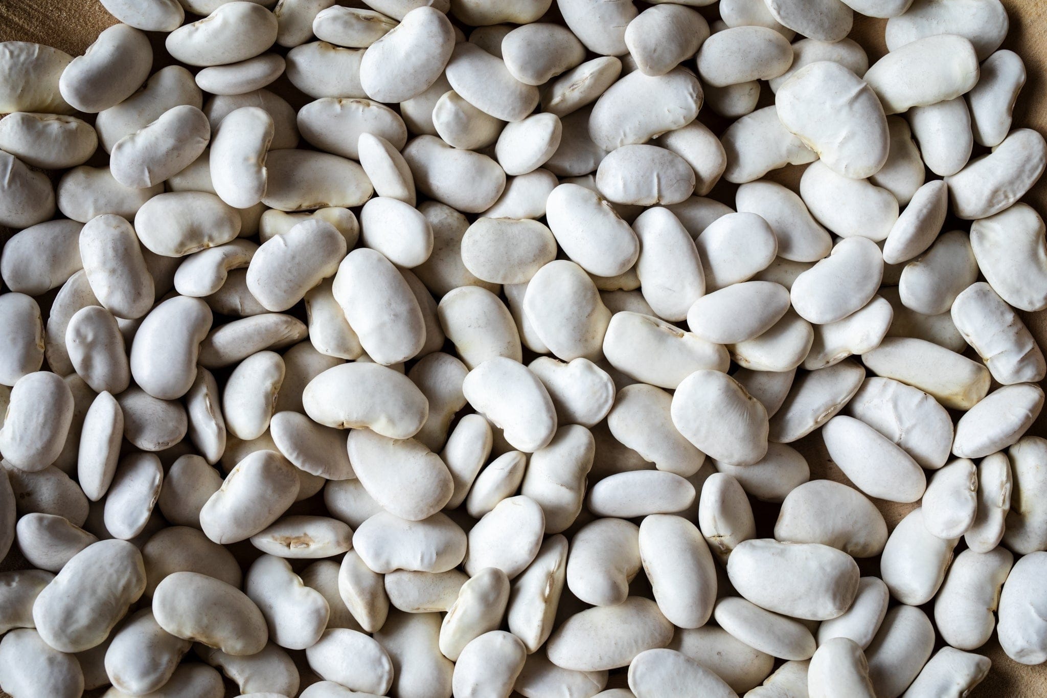 Food Rancho Gordo California Corona Beans, 1lb.