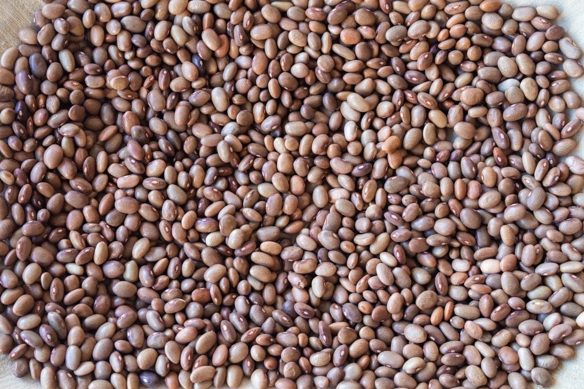 Food Rancho Gordo Bayo Chocolate Beans, 1lb.