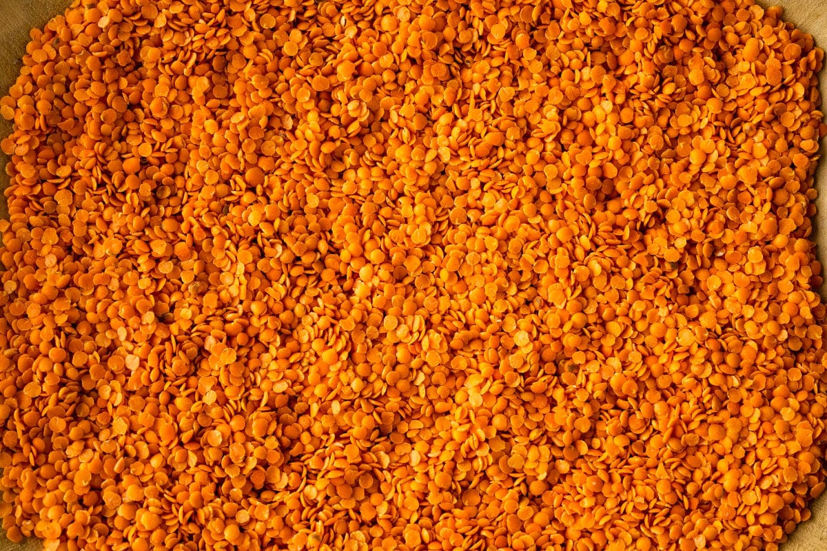Food Rancho Gordo Masoor Dal (Split Red Lentils) - 1 lb.
