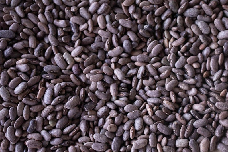 Food Rancho Gordo Rebosero Beans - 1 lb.