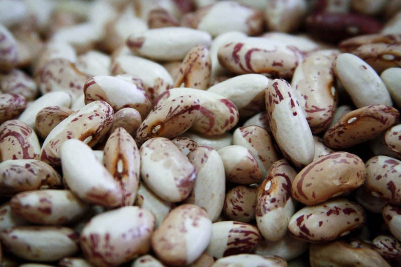 Food Rancho Gordo Snowcap Beans - 1 lb.