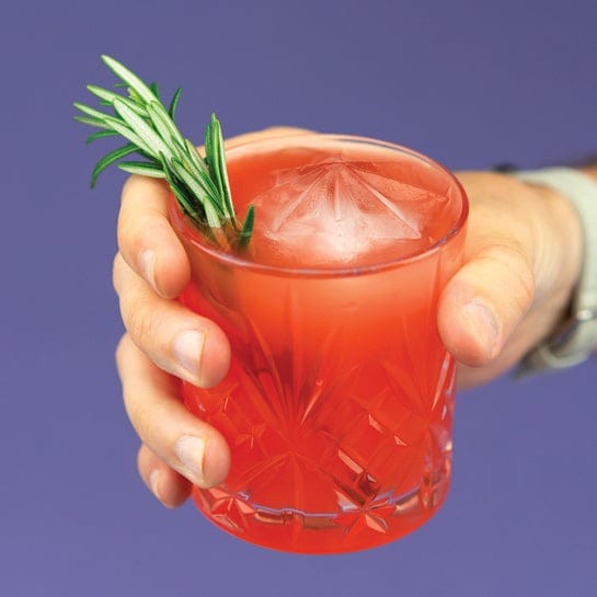 Barware Zoku Iceberg Ice Mold - Set of 2