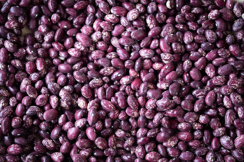 Rancho Gordo Whipple Beans