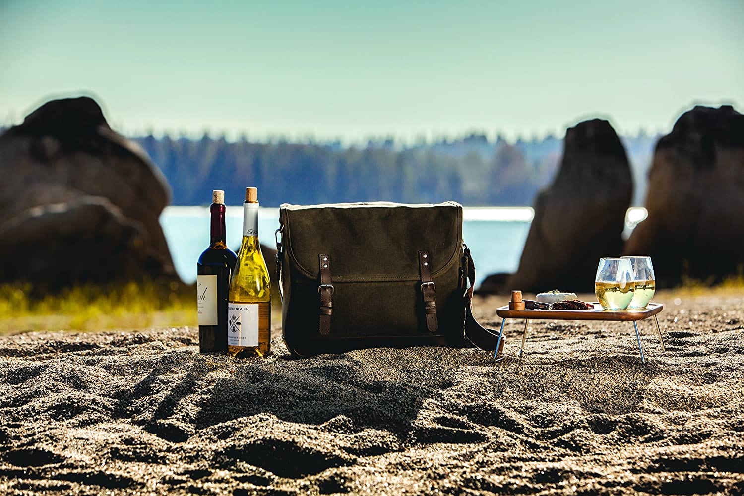 Travel & Storage Picnic Time Adventure Wine Tote