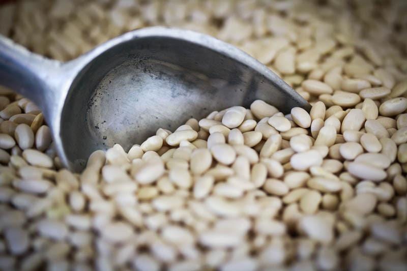 Food Rancho Gordo Ayocote Blanco Beans - 1 lb.