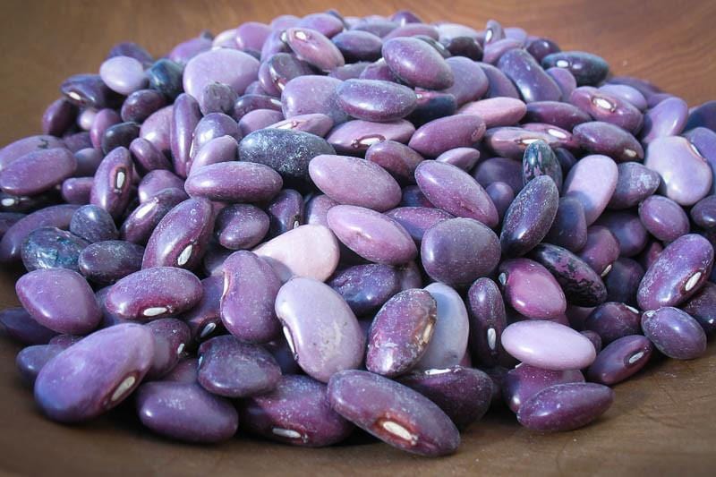 Food Rancho Gordo Ayocote Morado Beans - 1 lb.