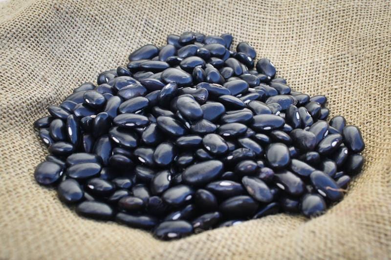 Food Rancho Gordo Ayocote Negro Beans - 1 lb.