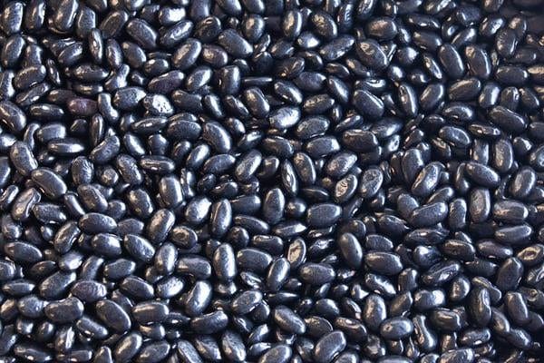 Food Rancho Gordo Chiapas Black Beans - 1 lb.