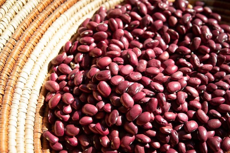 Food Rancho Gordo Hidatsa Red Beans - 1 lb.