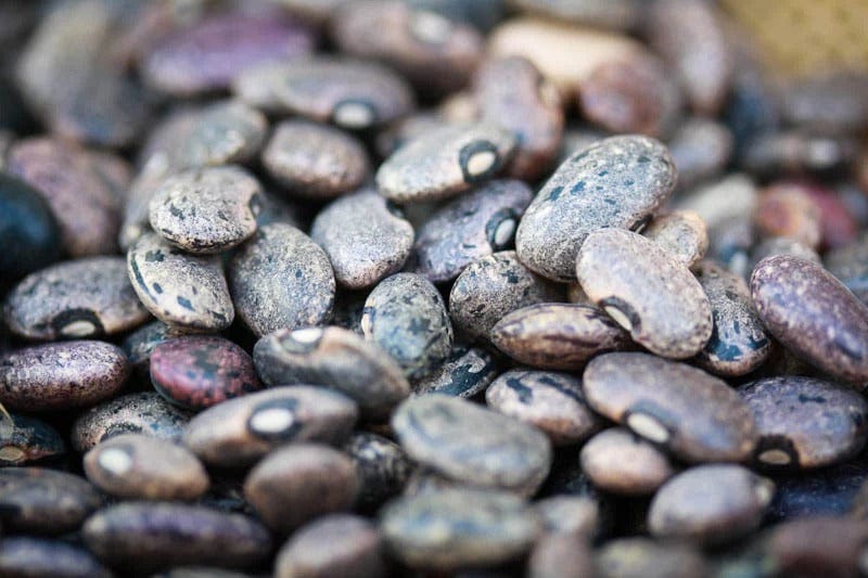 Food Rancho Gordo Moro Beans