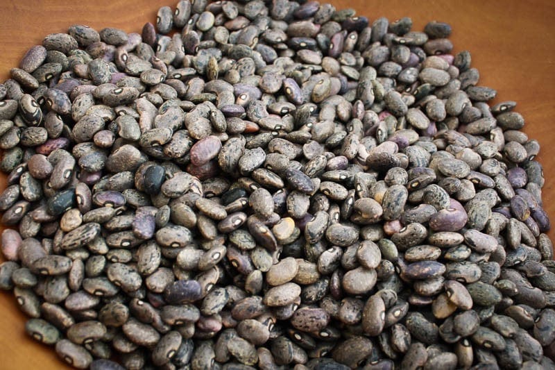 Food Rancho Gordo Moro Beans