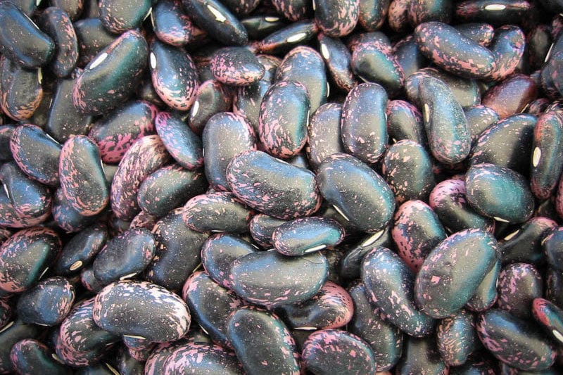 Food Rancho Gordo Scarlet Runner Beans - 1 lb.
