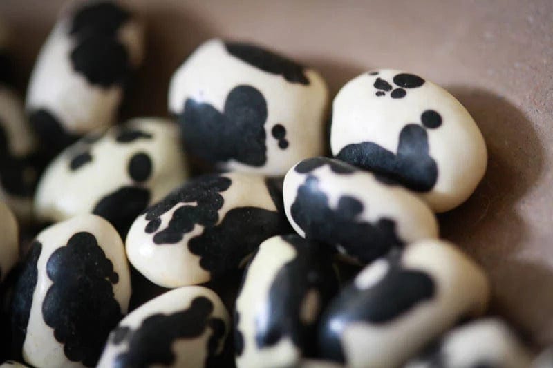 Food Rancho Gordo Vaquero Beans