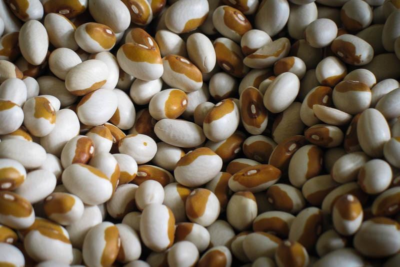 Food Rancho Gordo Yellow Eye Beans - 1 lb.