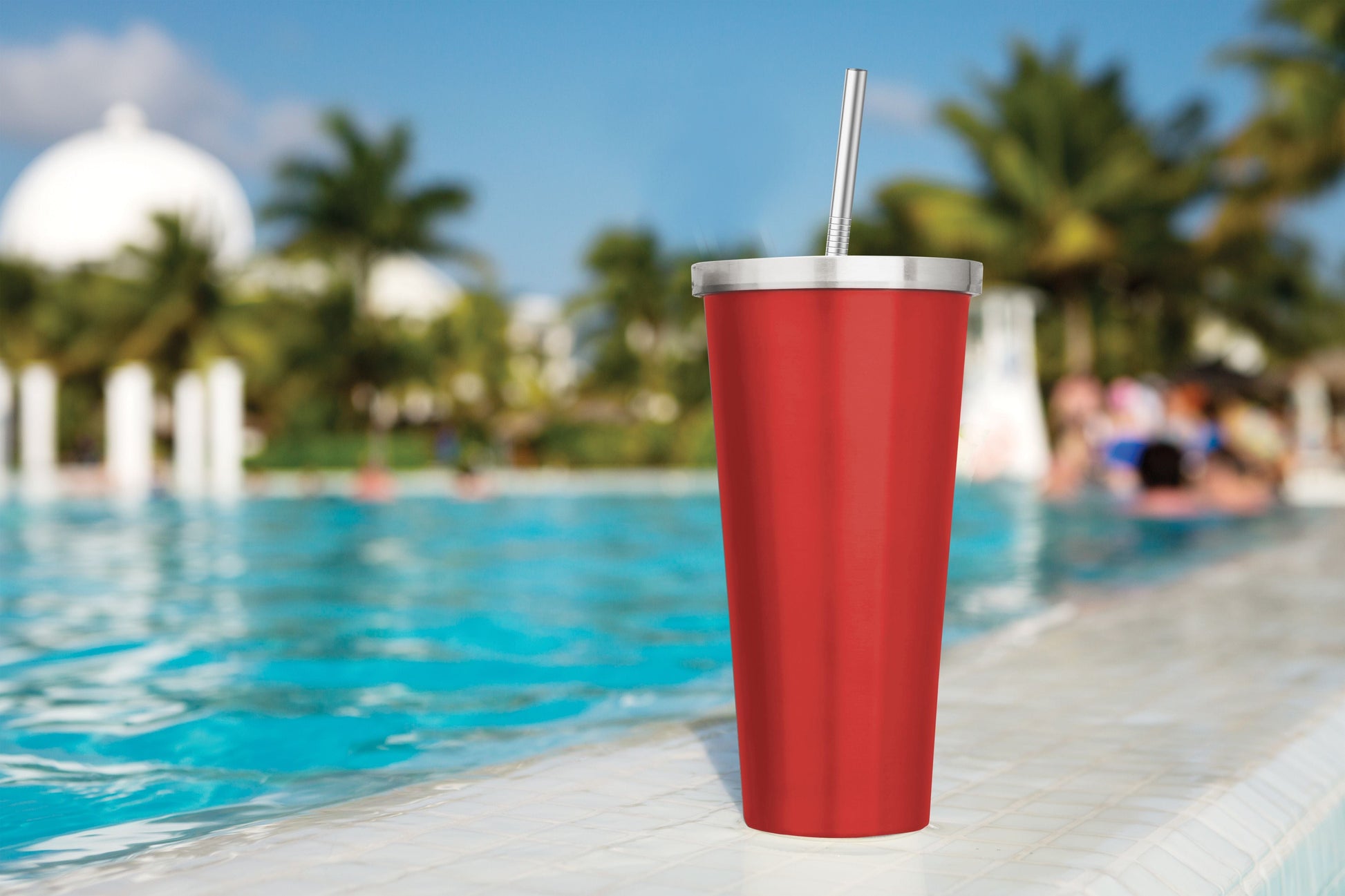 Travel & Storage Reusable Drinking Straws