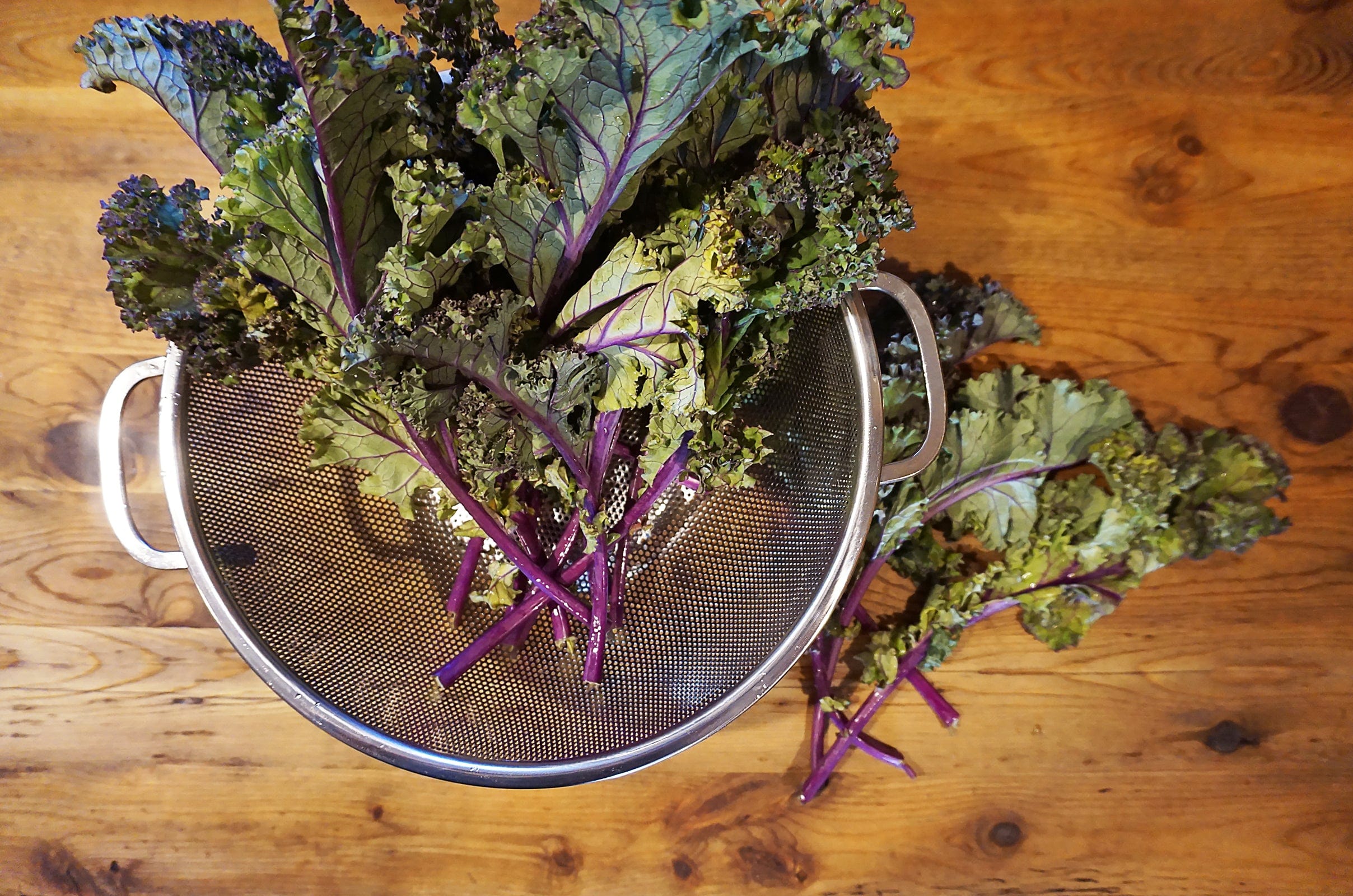 Tools & Accessories Endurance Precision Pierced Colander